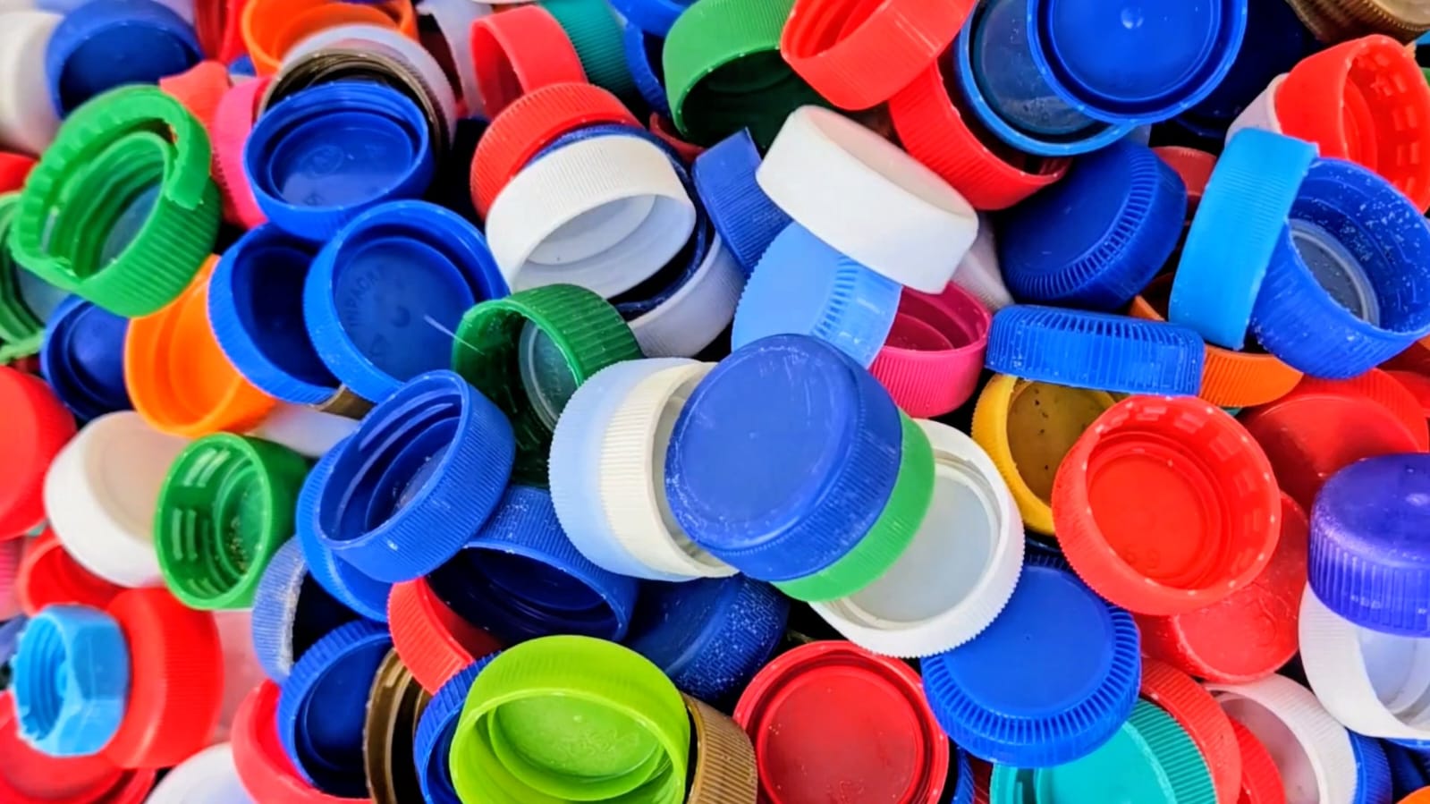 Sorting and processing facility