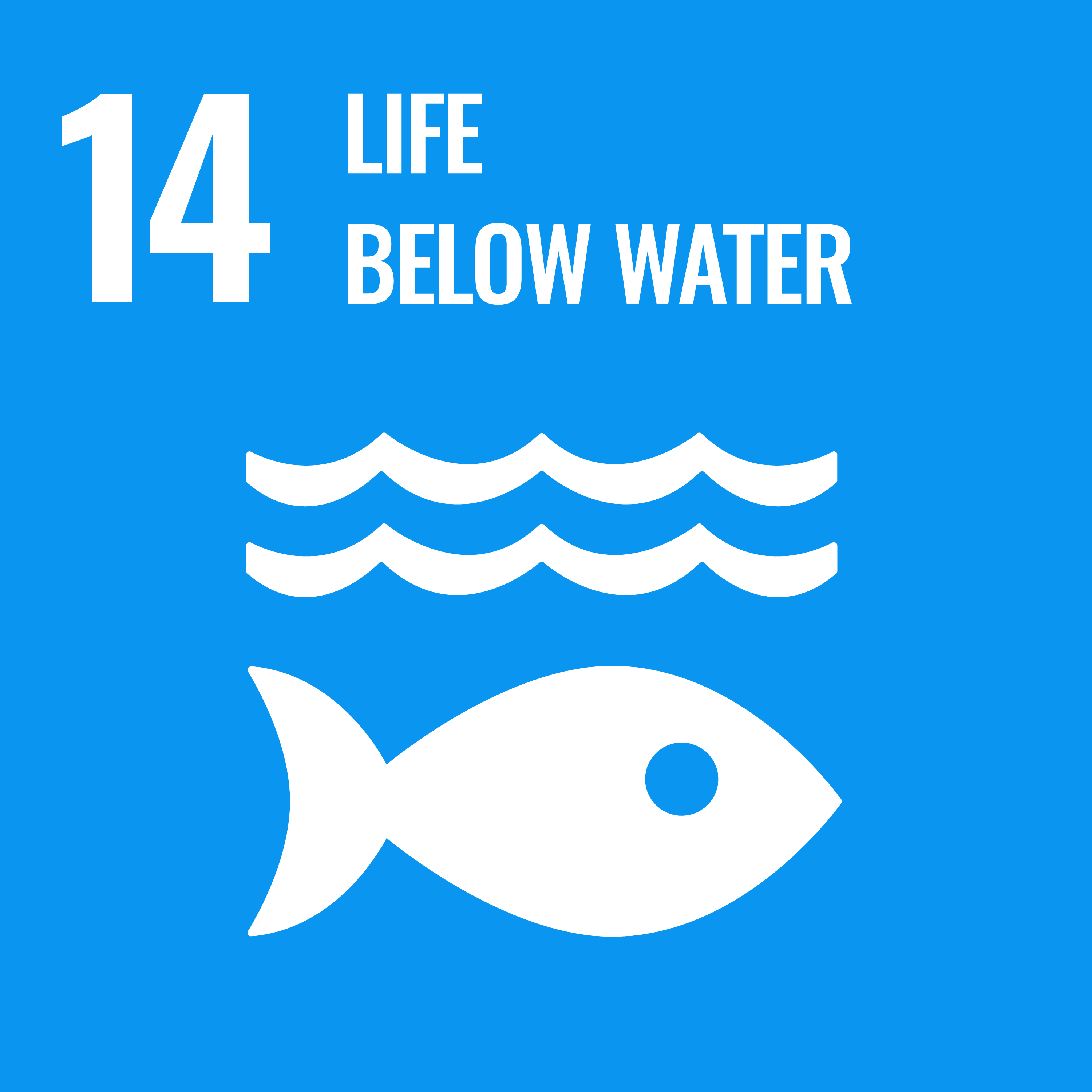 SDG 14 — Life Below Water
