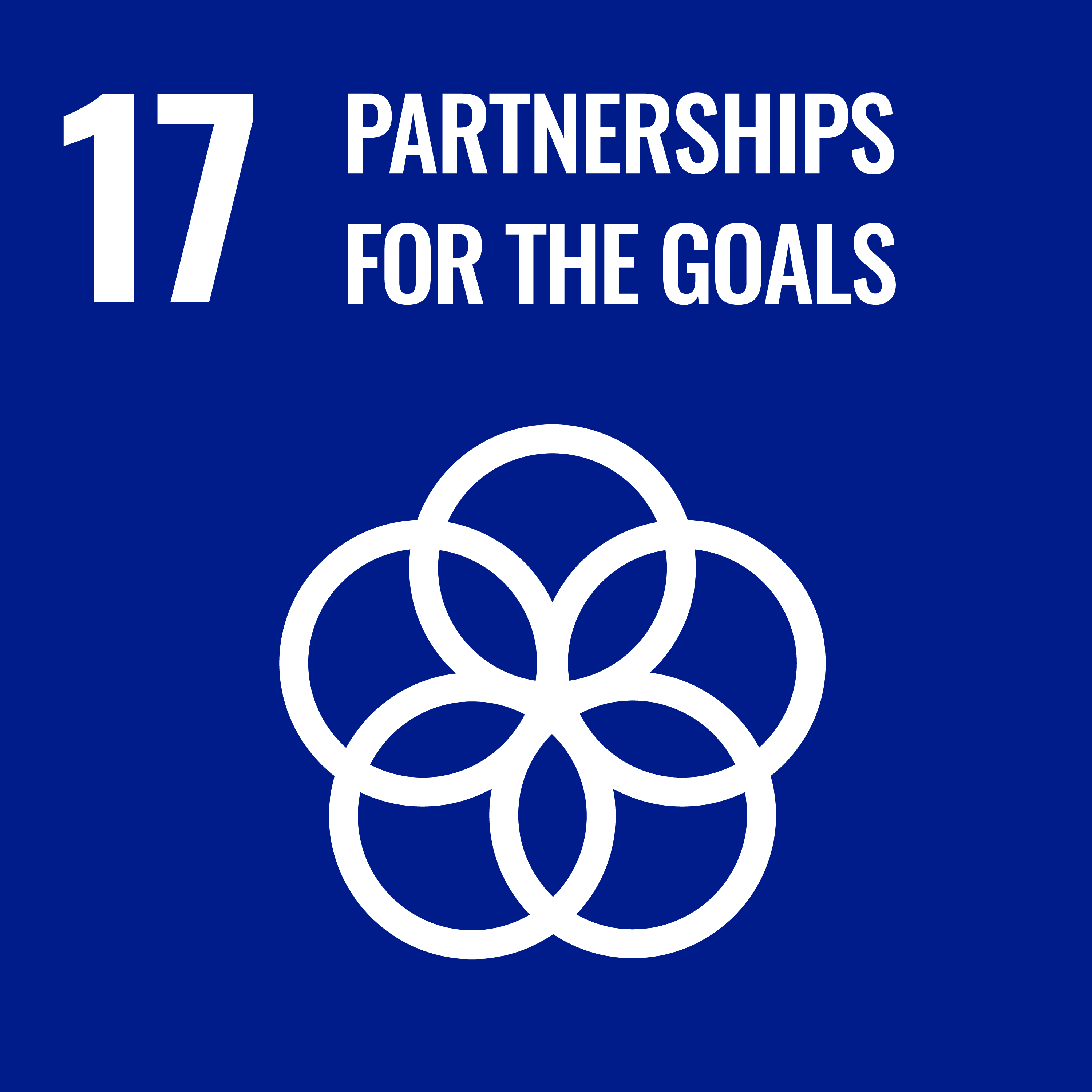 SDG 17 — Partnerships for the Goals